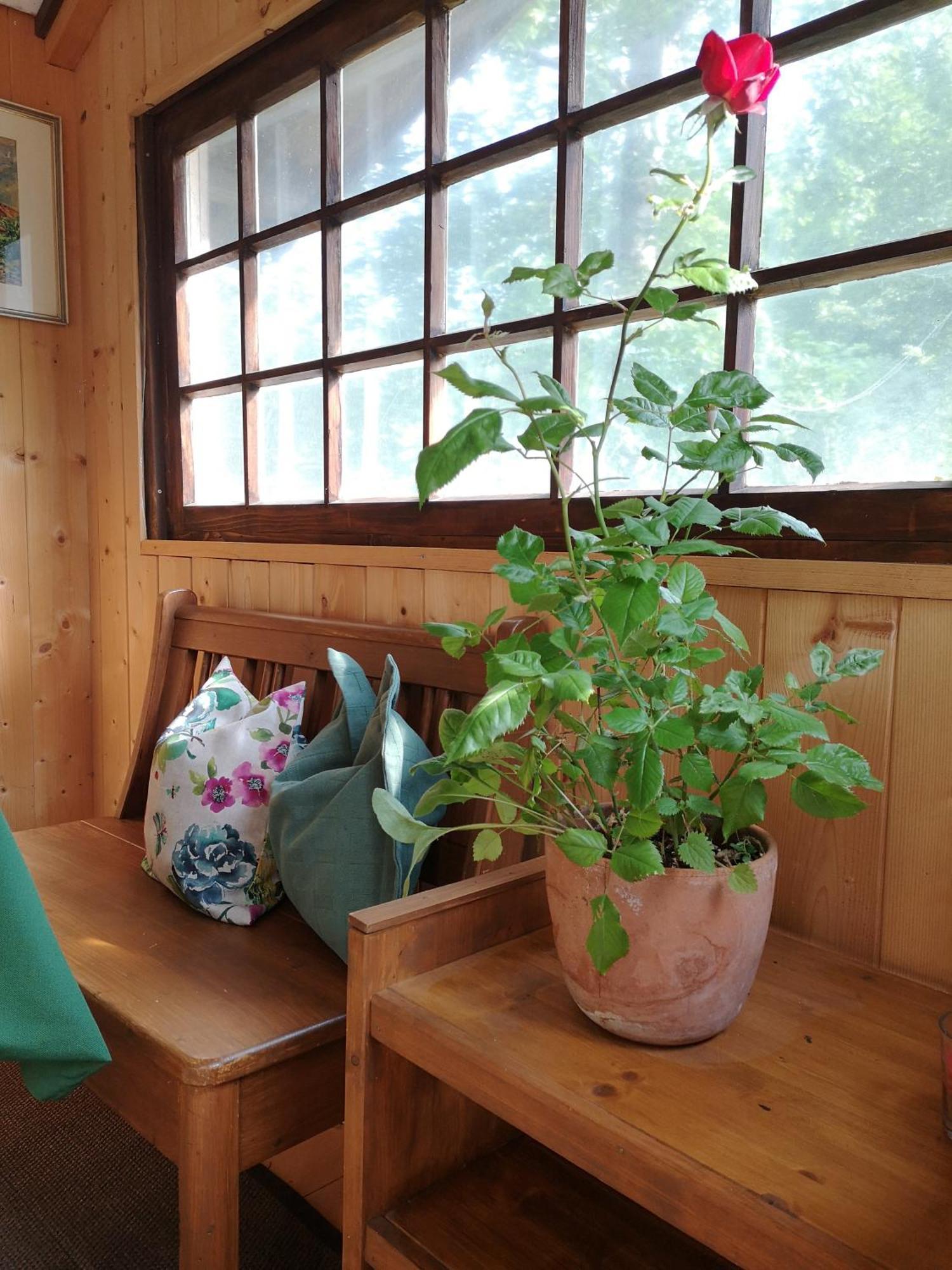 Ferienwohnung Schmidt - Natur Und Ruhe Schwaigen Habitación foto